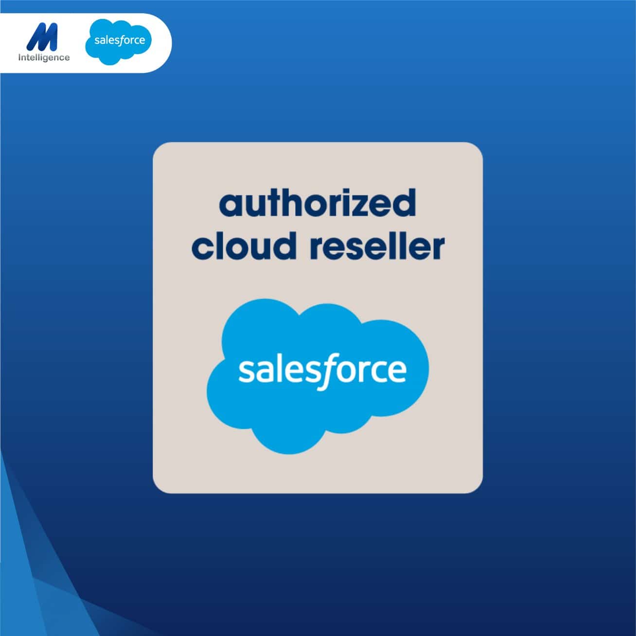 salesforce authorized partners